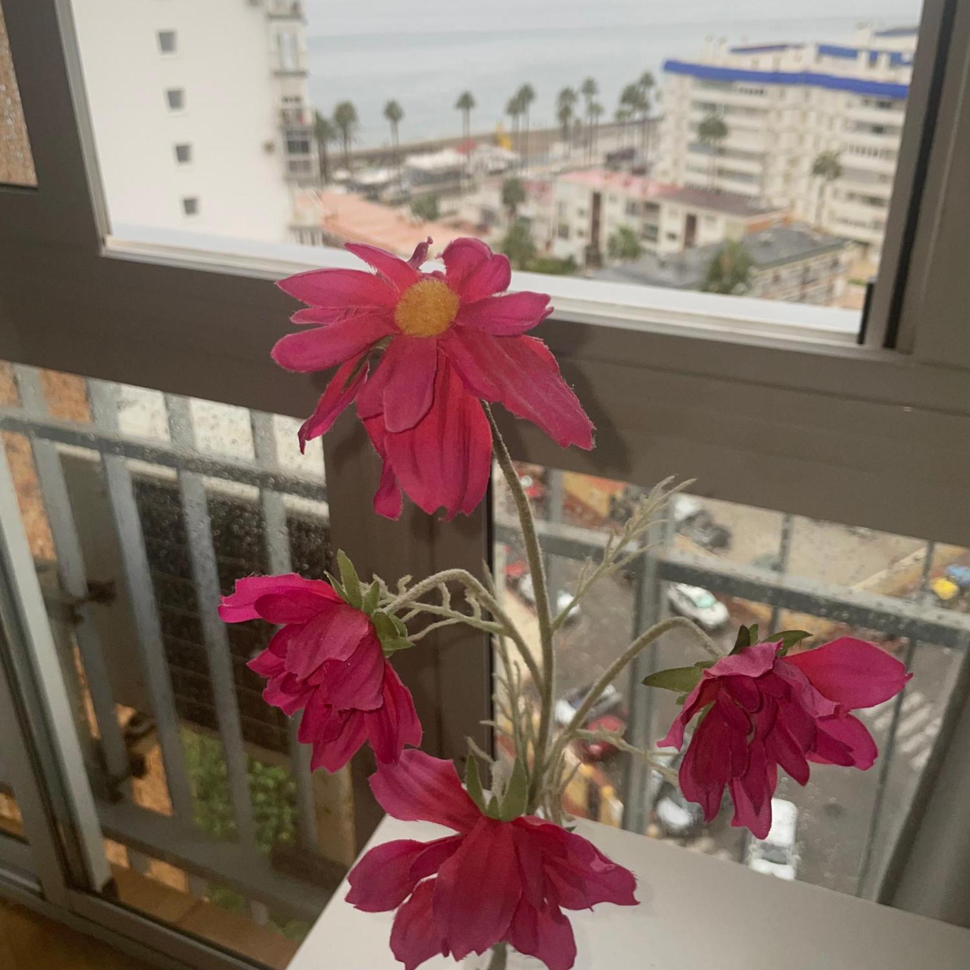 Benalmadena ,Apartamento-Estudio Primera Linea De Playa Экстерьер фото
